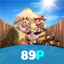 89P visual