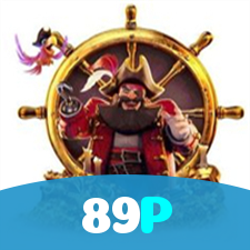 89P visual