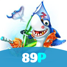 89P visual