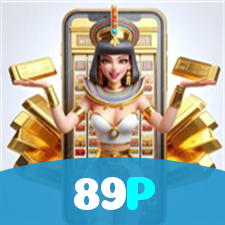 89P visual