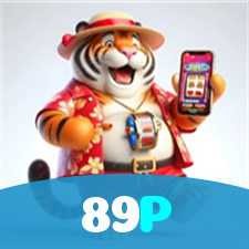 89P visual